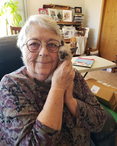 Linda Sue Foreman's obituary image