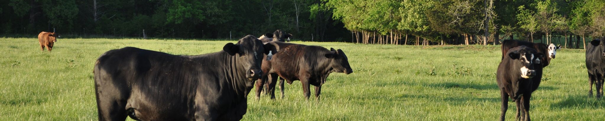 Cover for Richard K. Fuhrman's Obituary