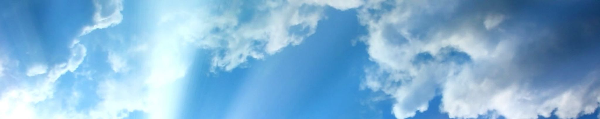 Cover photo for Ruby Williams's Obituary