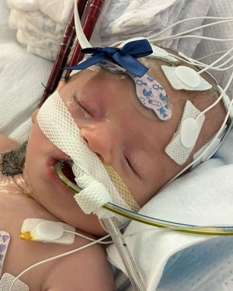 Haven Ann Nichting Profile Photo