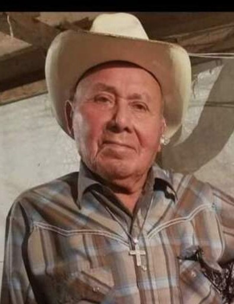 Lorenzo Briseno Acosta