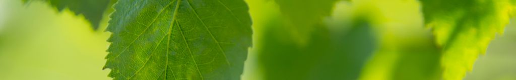 Cover photo for Kate Clark's Obituary
