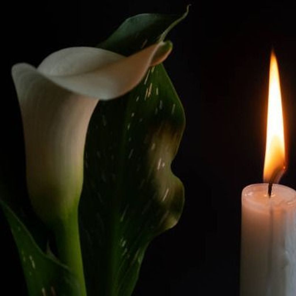 Merritt James Harman Profile Photo