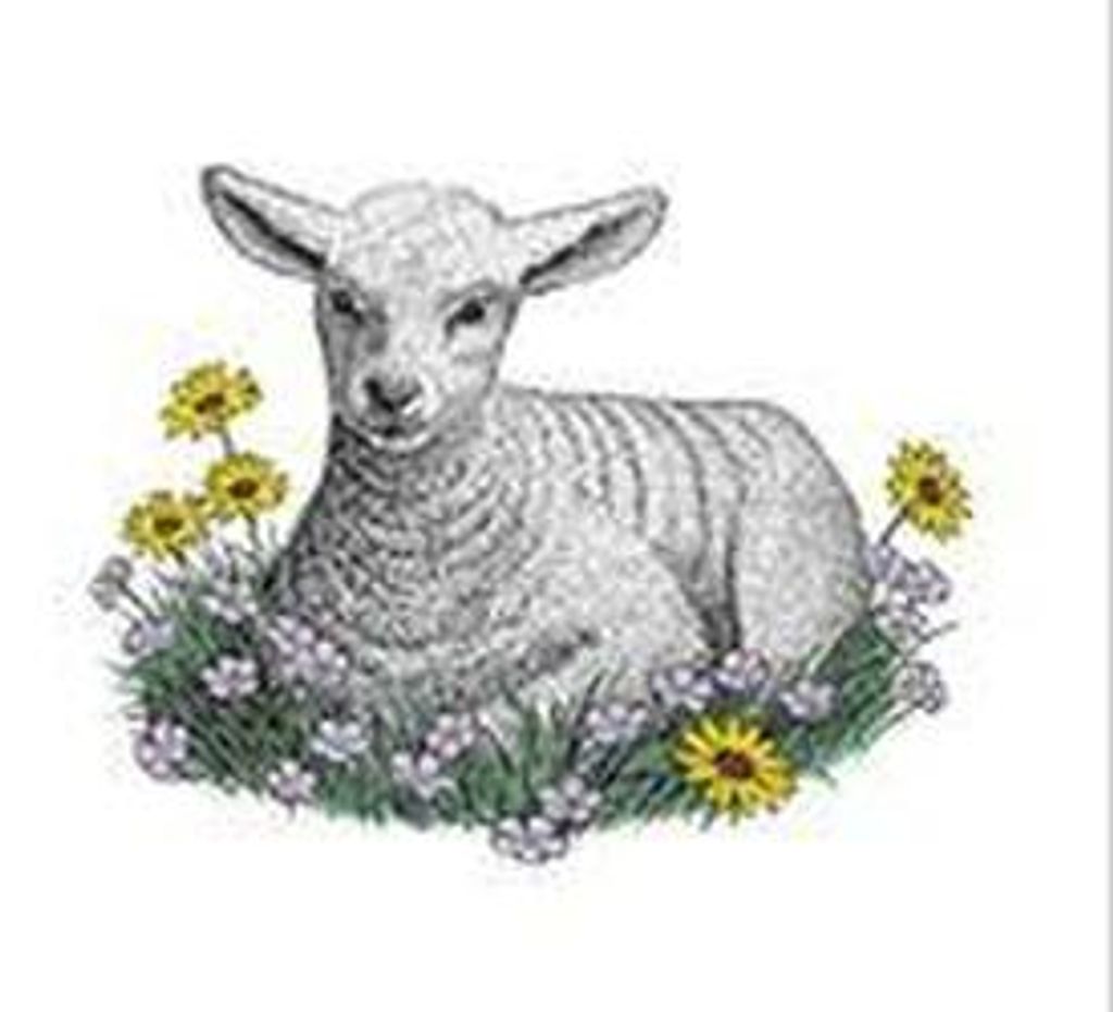 Sebastian Jesus Vazquez Profile Photo