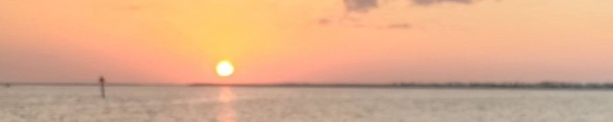 Cover photo for Shirley Ann Horton's Obituary
