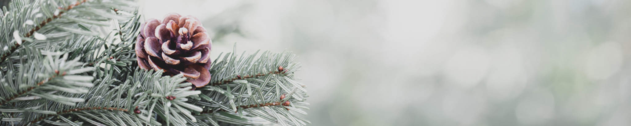 Cover for Jeannie Puzey's Obituary