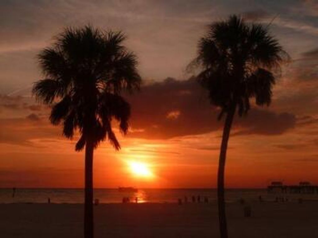 James V. Harty Profile Photo