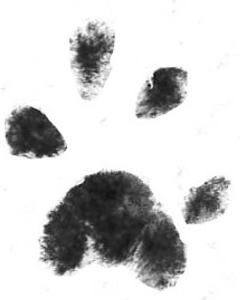 Smokey Isserman Profile Photo
