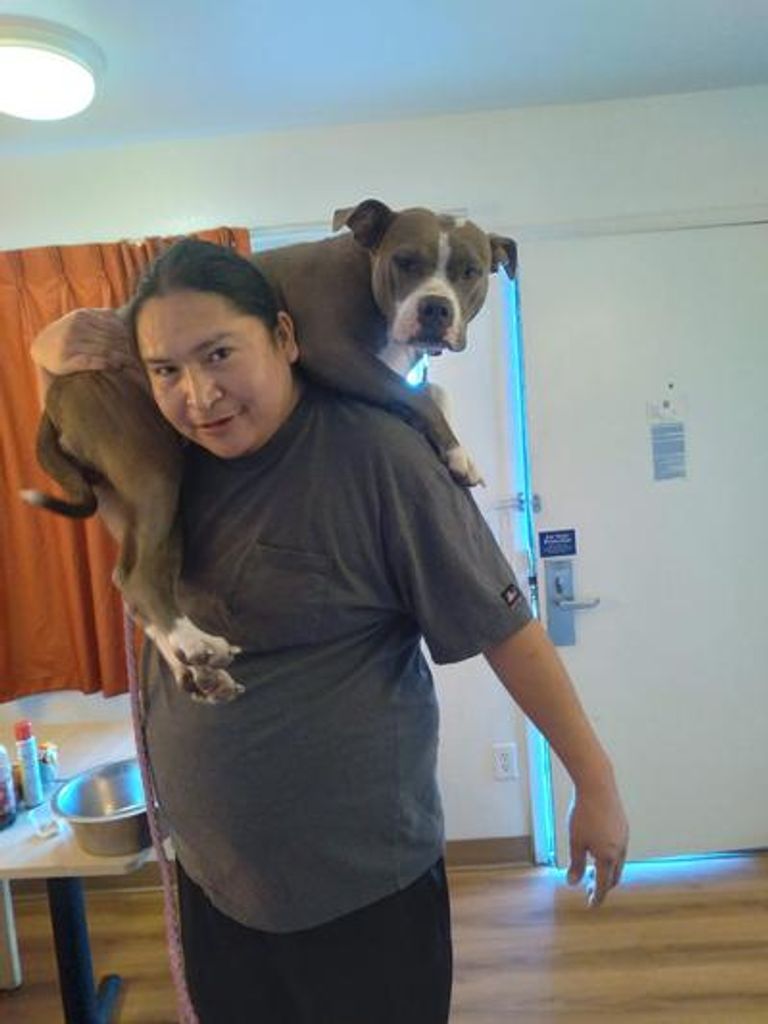 Alan Michael Jenkins Jr. Profile Photo