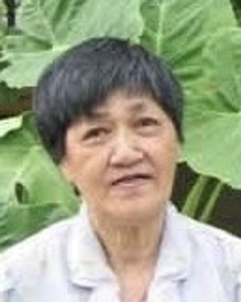 Hai Thi Luu Profile Photo