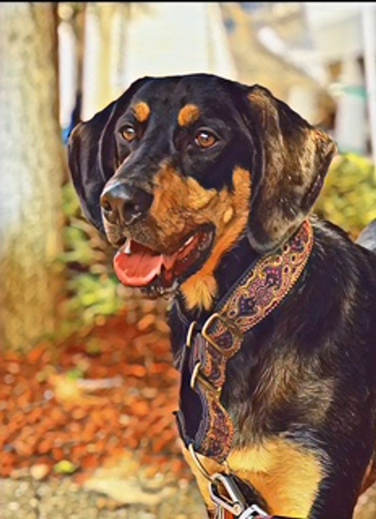 Jack "Jackie Doodles" Murphy