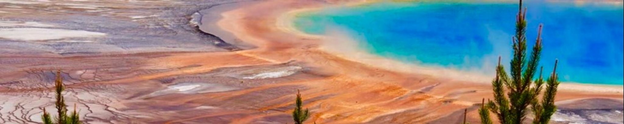 Cover for William Szaroleta's Obituary