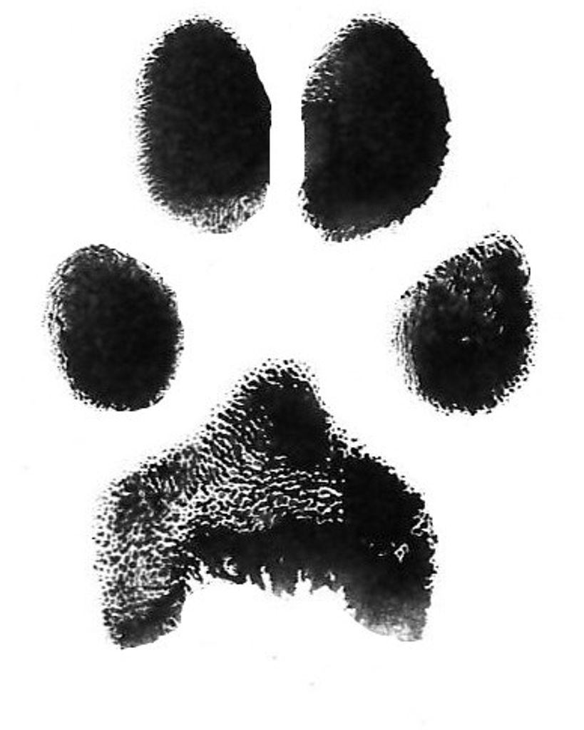 Ella Auldredge