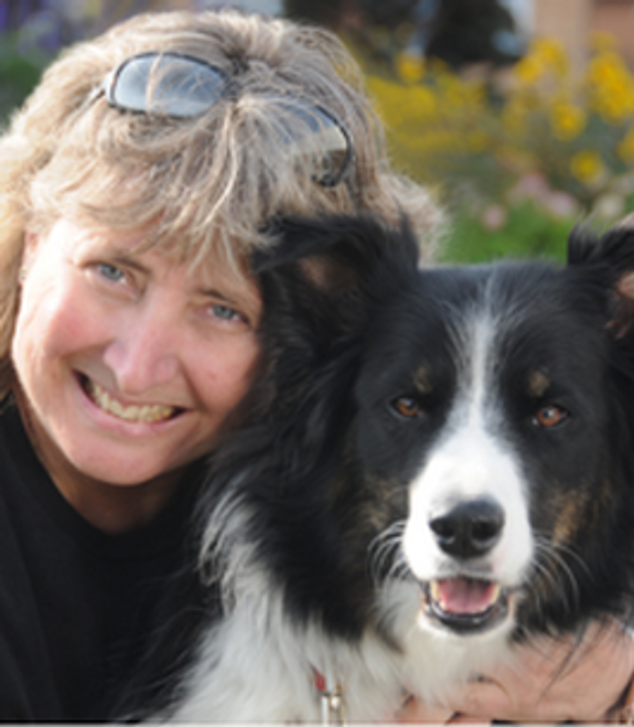 Alison Johnston Profile Photo