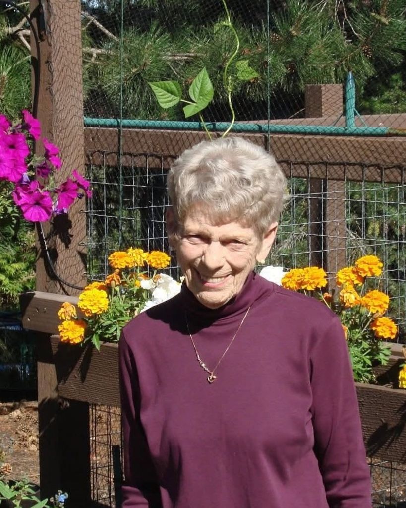 Pam Wilson Profile Photo