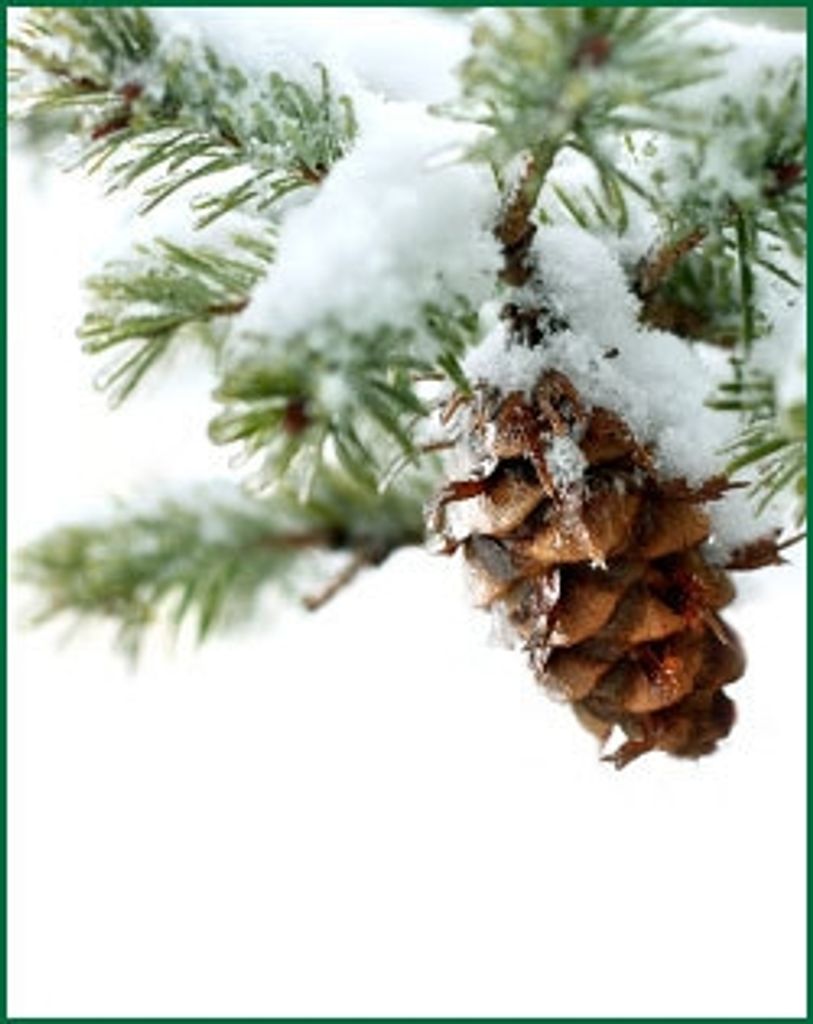 David Lewis Harold Profile Photo