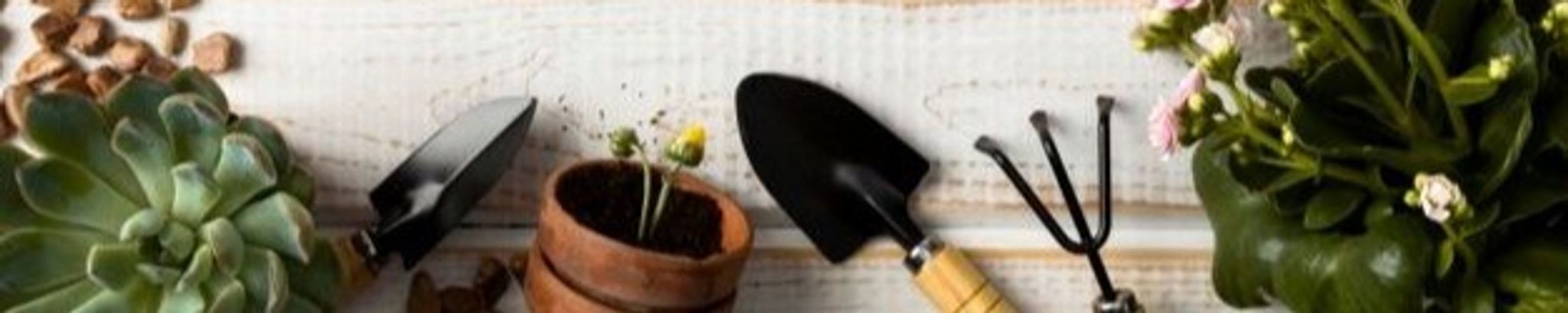 Cover photo for Orsalena "Lena" Giolito Collier's Obituary