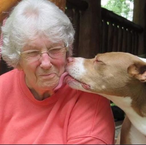 Ruthann Lee's obituary image