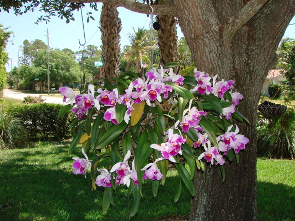 James V. Miller Profile Photo