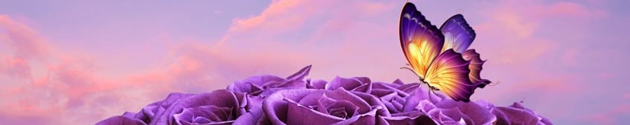 Cover for Rocío Valdovinos's Obituary