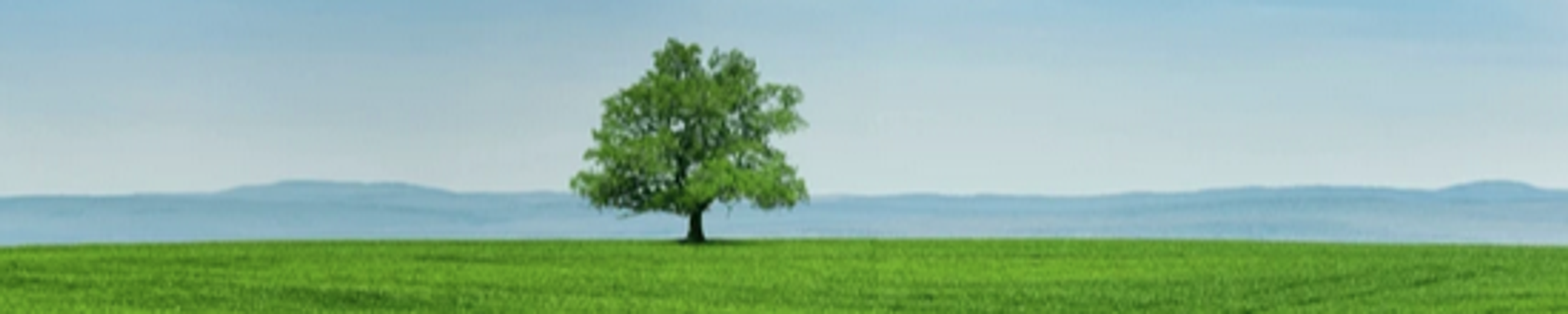 Cover photo for Ralph Mathias Foltz's Obituary