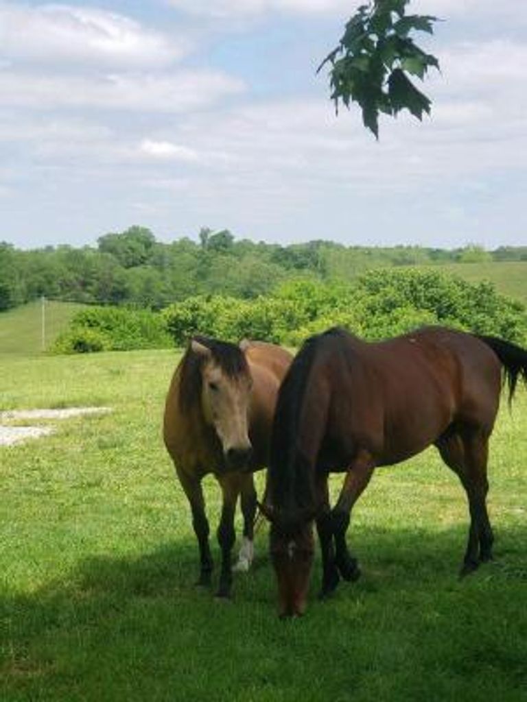 Mariana Jobe Profile Photo