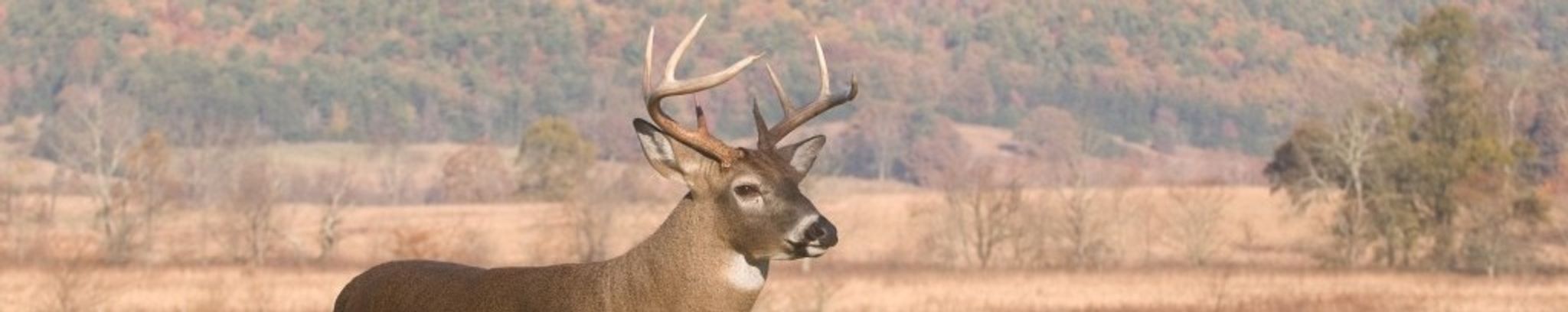 Cover for Paul J. "Poppy" Janocha's Obituary