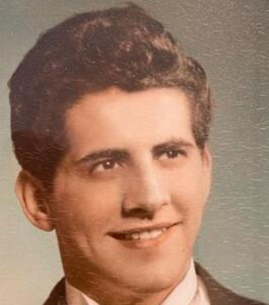 Domenico Novelli