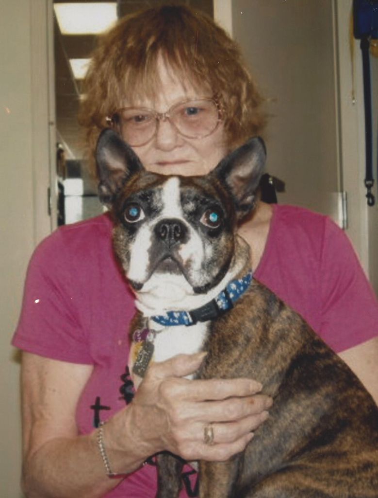 Phyllis J. Plowman Profile Photo