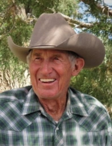 Kay Hickman Profile Photo