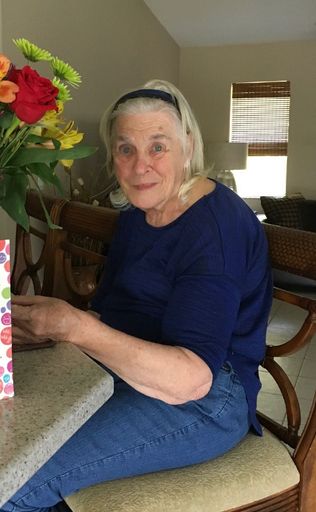 Theresa H. VanZyl Profile Photo
