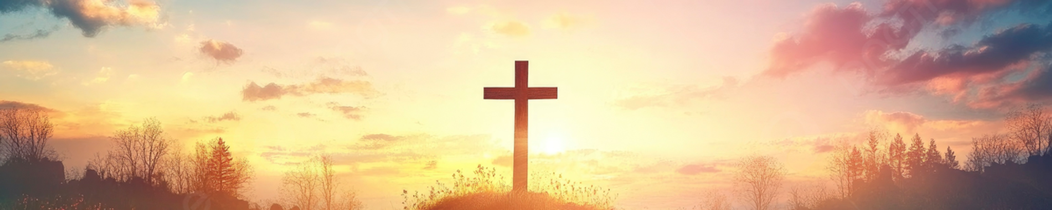 Cover photo for Nadine Daugherty's Obituary