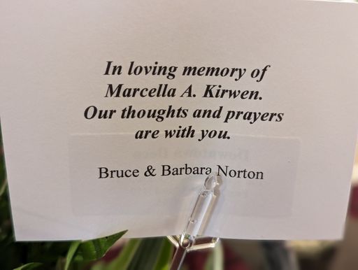 Marcella Kirwen photo gallery thumbnail 28 of 33
