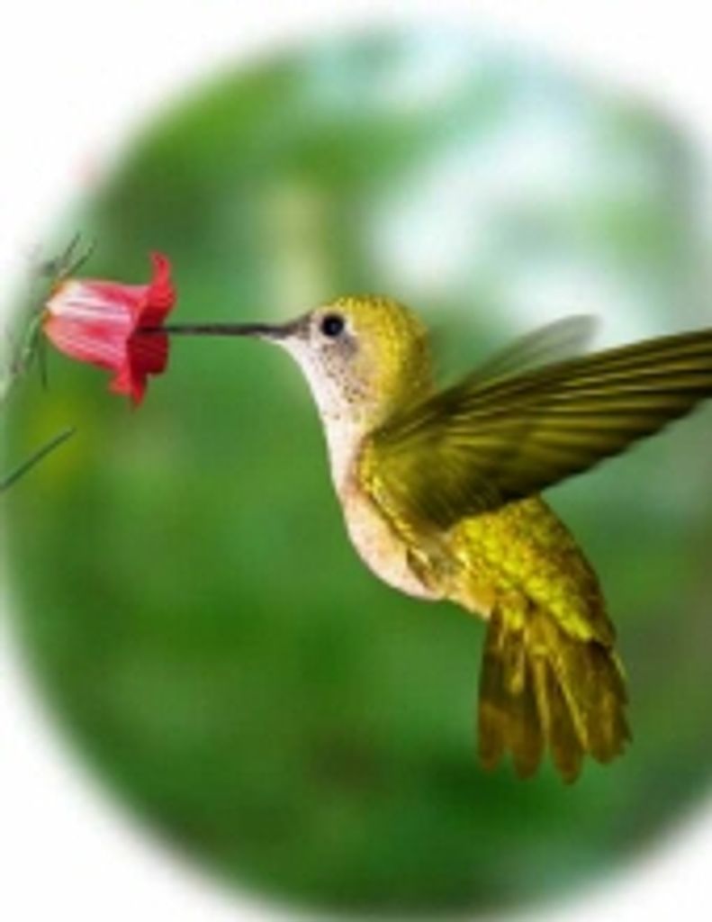 Fern Beatrice Neely - Gregg Monette