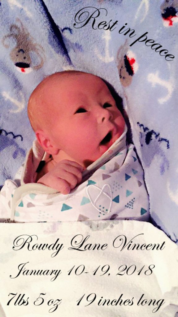 Rowdy Lane Vincent