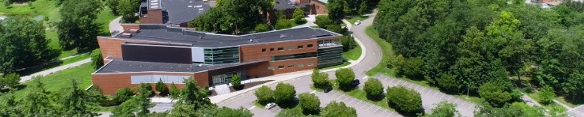 Cover for Patricia-Ann Lee's Obituary