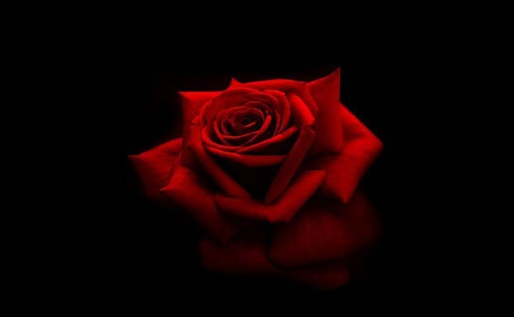 Martin C. Raila, Sr.