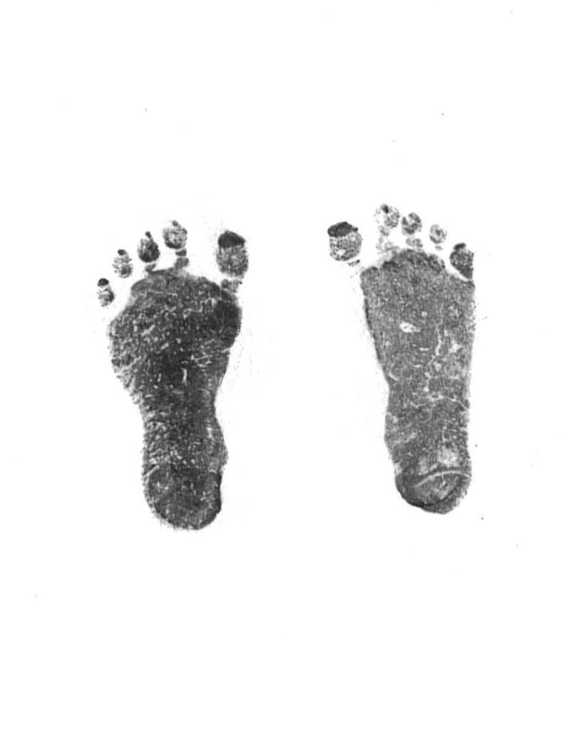 Dylan Abel Ascencio Morales