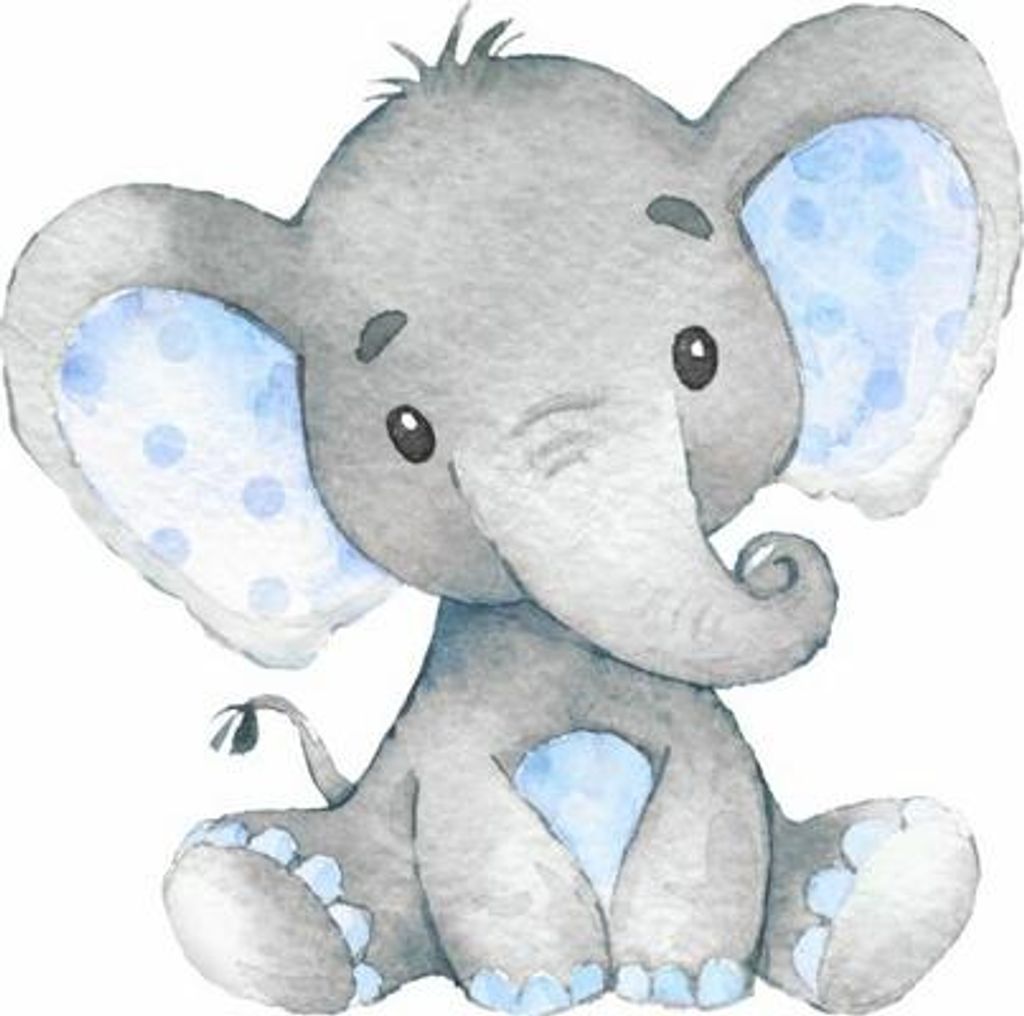 Ryker Allen Rogan Profile Photo