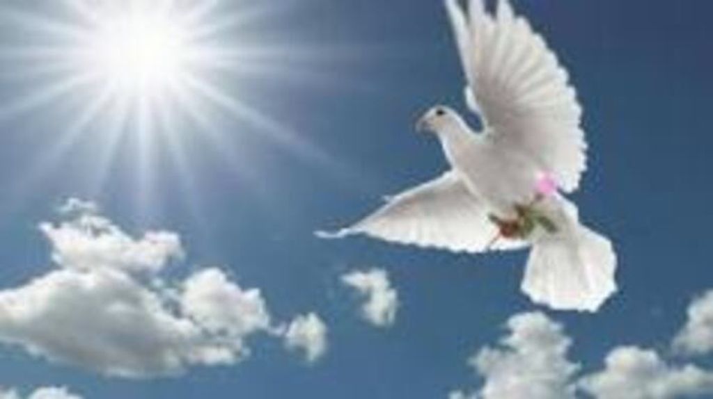 Larry Douglas Smallwood Profile Photo