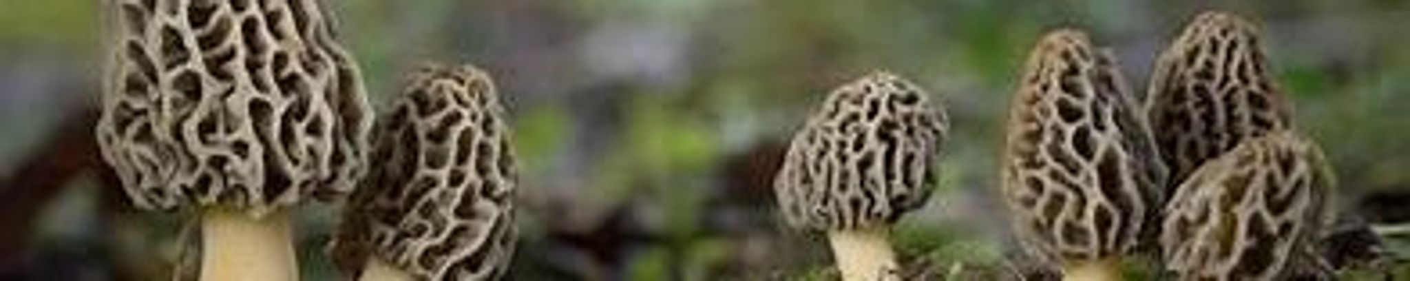Cover photo for Brett Todd Colvin's Obituary
