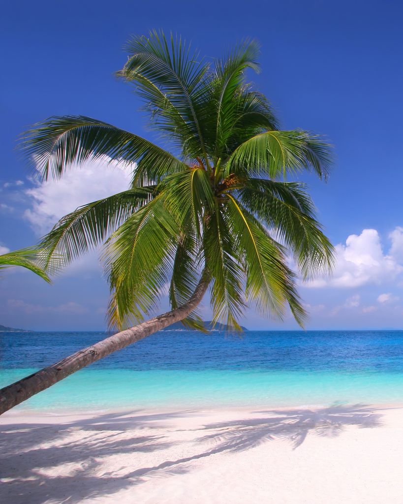 Felipe "Val" Valentino Bigornia Profile Photo