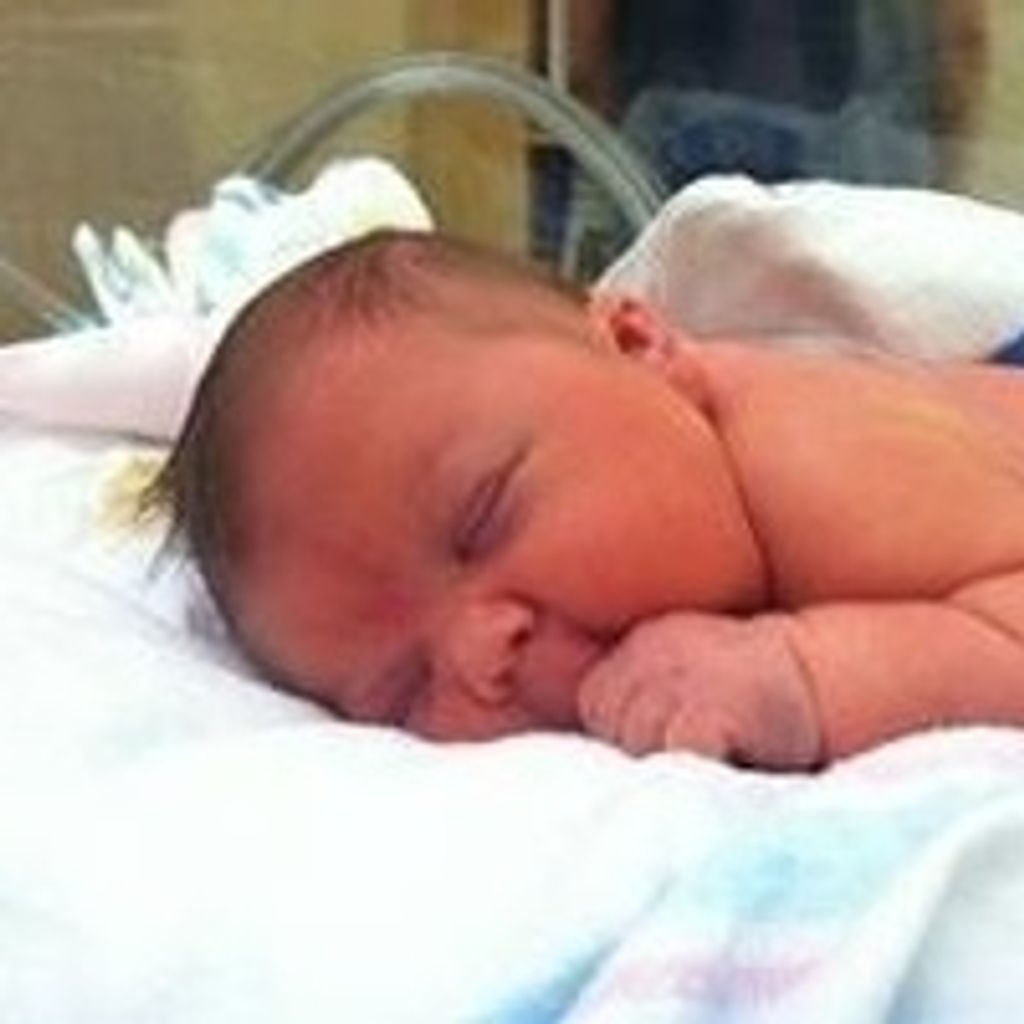 Sophia  Isabella Capo