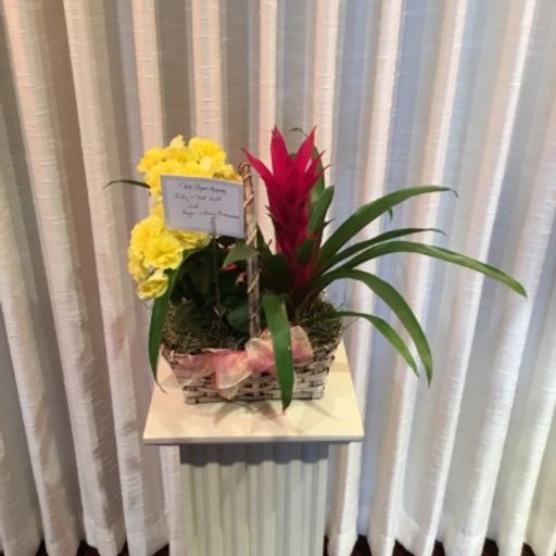 Shirley Marie Brott photo gallery thumbnail 8 of 33
