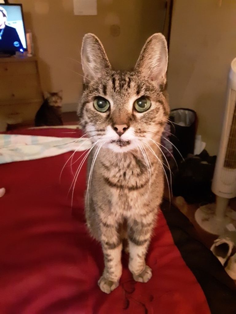 Tiggy Nail Profile Photo