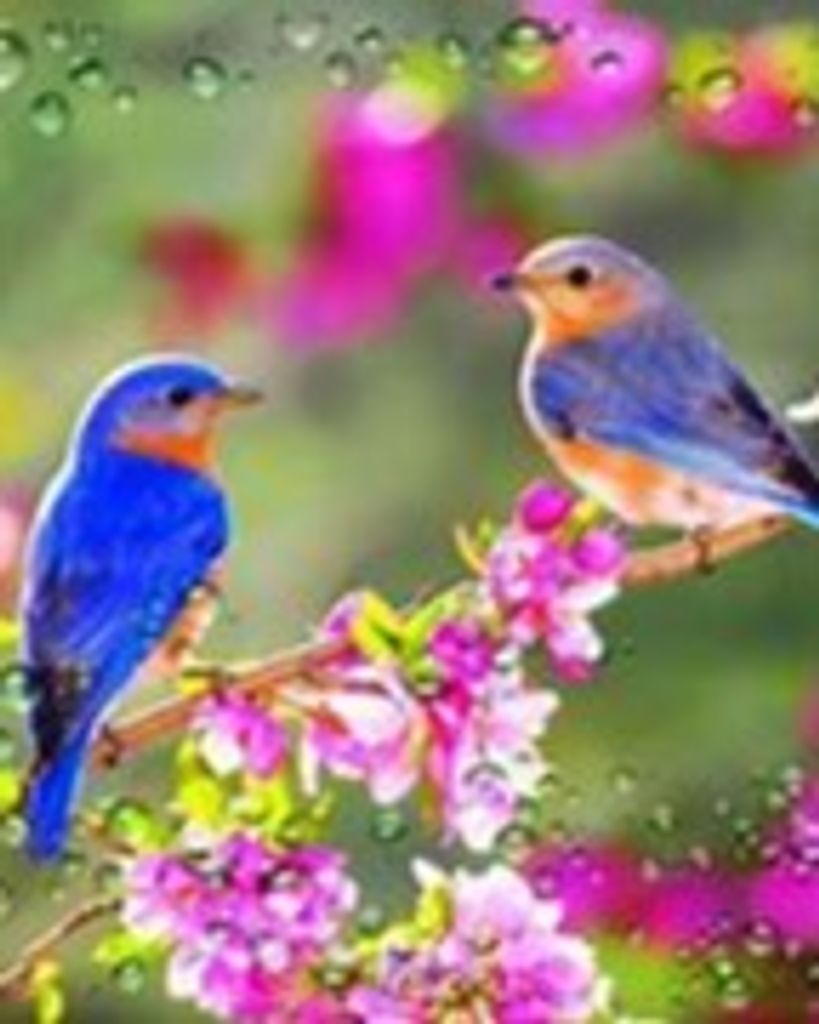 Mary Elizabeth Little