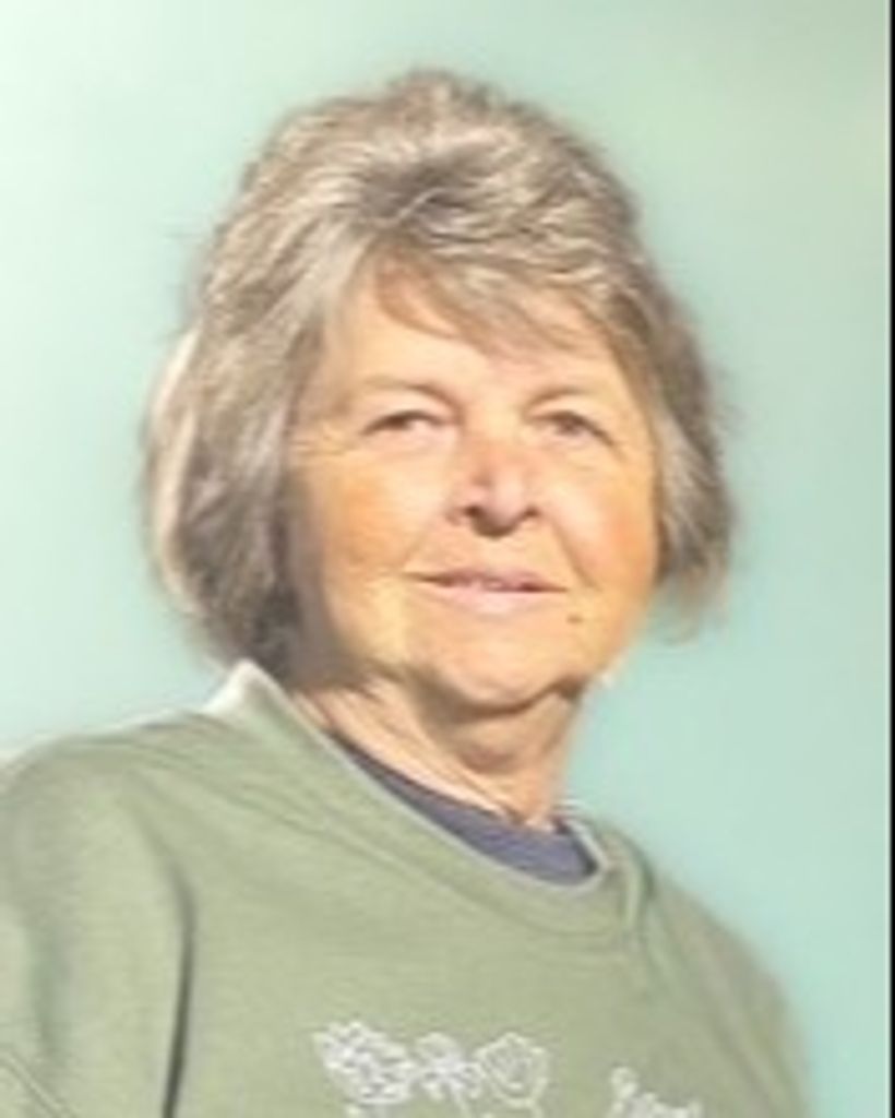 Judy Bradley Wall Profile Photo