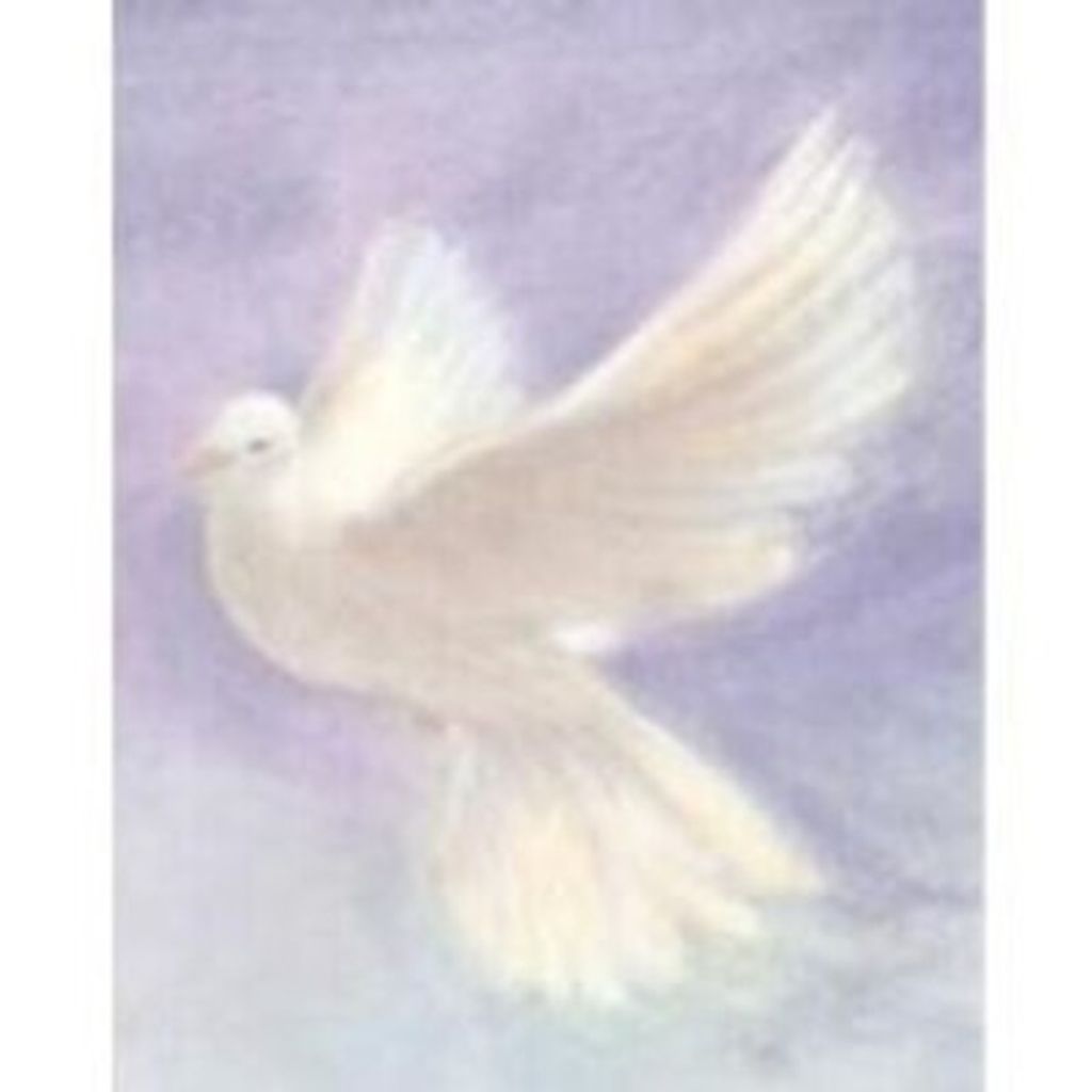 James "Jamie" Haygood