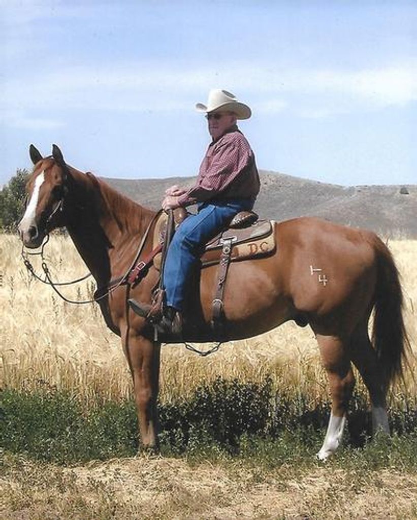 Don  C Clark Profile Photo