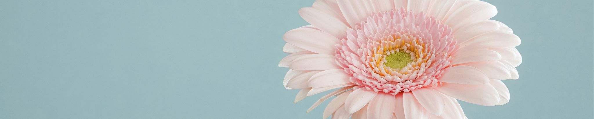 Cover photo for Julieta Isabel Rivera Gonzalez's Obituary